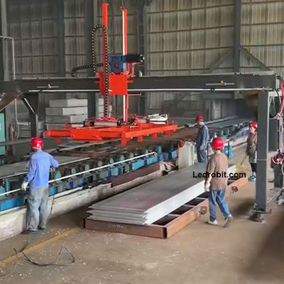 Niezależna kontrola palletyzator Maszyna Linia produkcyjna butelki z wapienia