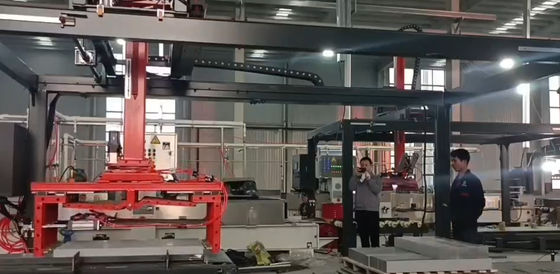 Dostosowywalny wielobytkowy machine paletyzujący machine opakowaniowy z uchwytami końcowymi